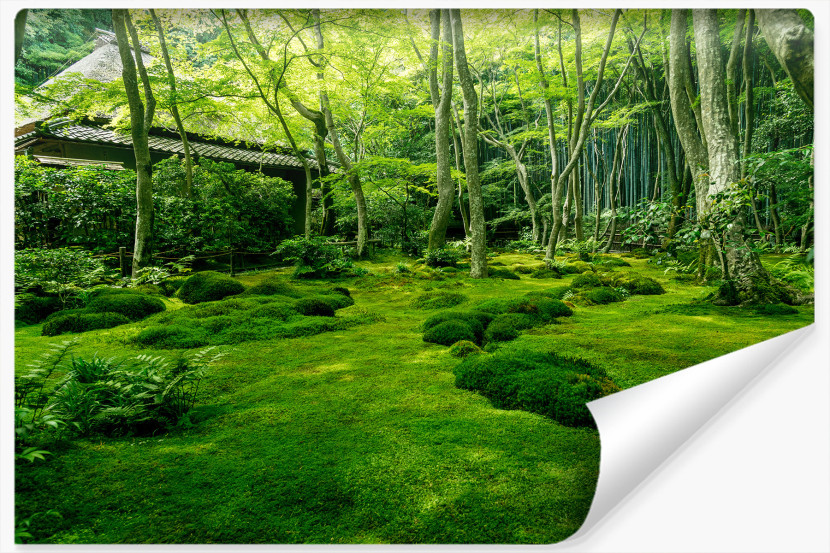 Fototapeta OGRÓD Japoński Mech Drzewa Las 208x146cm 264444