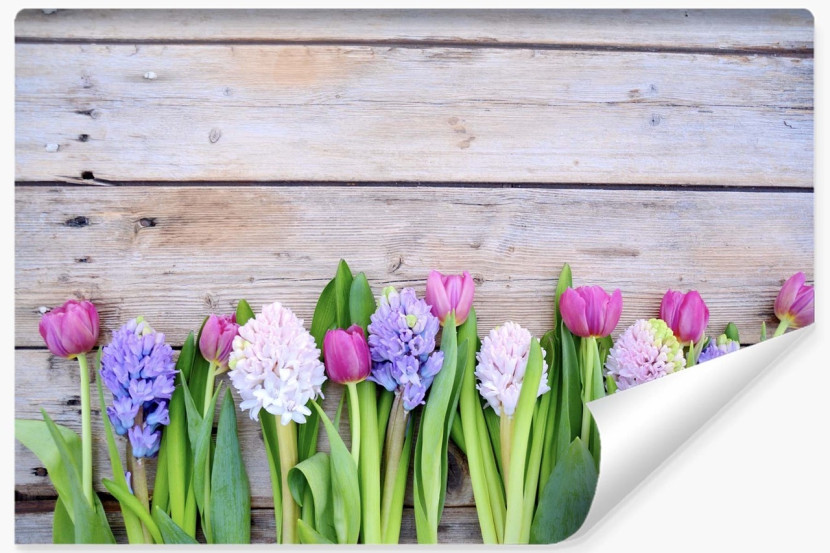 Fototapeta Ozdobna TULIPANY Kwiaty Wzór 3D 300x210cm 257957