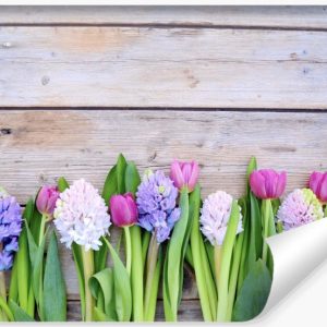 Fototapeta Ozdobna TULIPANY Kwiaty Wzór 3D 400x280cm 257799 Fototapeta Ozdobna TULIPANY Kwiaty Wzór 3D 400x280cm 257799