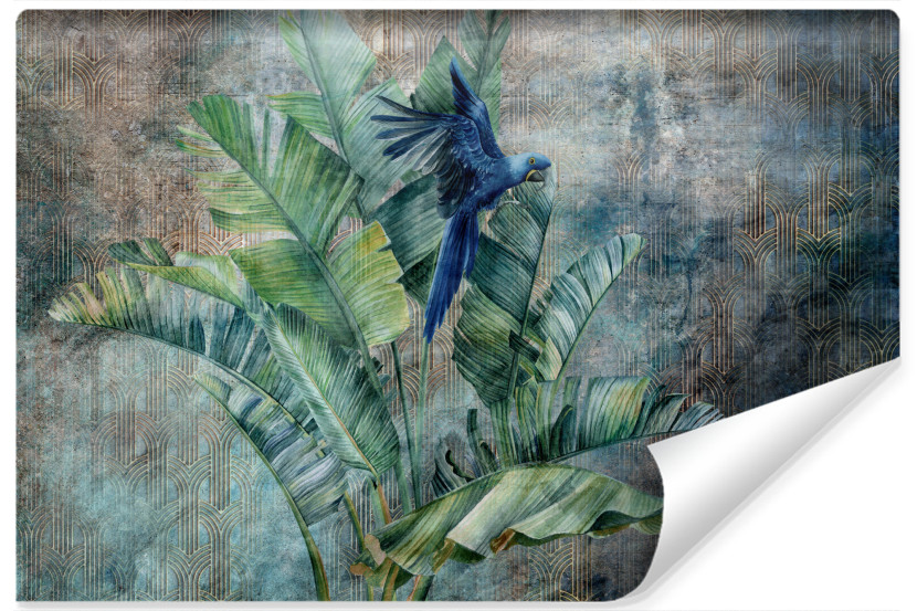 Fototapeta Papuga Na Drzewie Bananowym 270x180cm 122442
