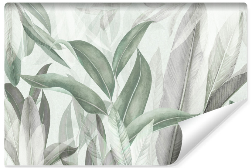 Fototapeta Pastelowe Liście Tropikalne 405x270cm 307790