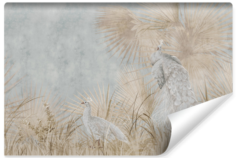 Fototapeta Pawie Na Betonie W Stylu Vintage 270x180cm 324692