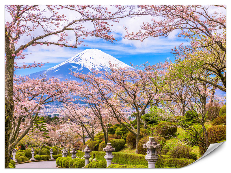 Fototapeta Peace Park w Japonii z Widokiem na Górę Fuji 150x105cm 984227
