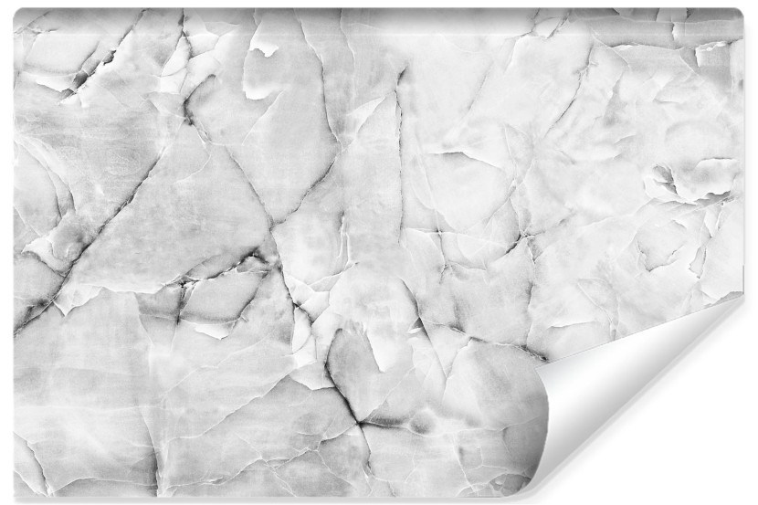 Fototapeta Ścienna SZARY Marmurowy Wzór 208x146cm 237219
