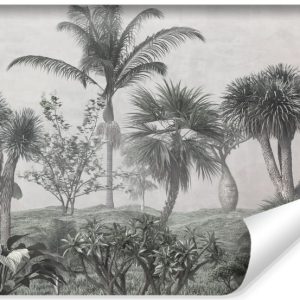 Fototapeta Ścienna Tropikalne DRZEWA Las Natura 208x146cm 172496 Fototapeta Ścienna Tropikalne DRZEWA Las Natura 208x146cm 172496