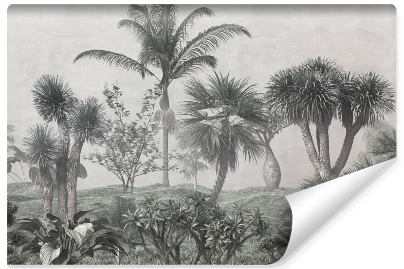 Fototapeta Ścienna Tropikalne DRZEWA Las Natura 90x60cm 172409