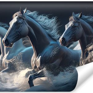 Fototapeta Ścienna Trzy Galopujące Konie 104×70.5cm 227989 Fototapeta Ścienna Trzy Galopujące Konie 104×70.5cm 227989