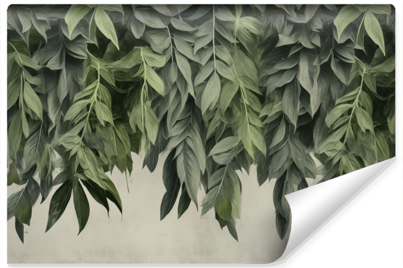 Fototapeta Ścienna Zielone Liście Na Betonie 315x210cm 245926