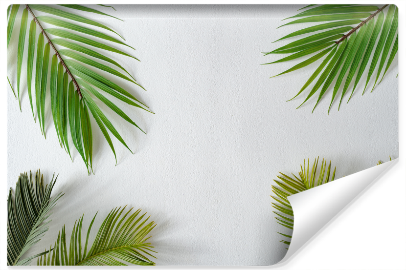 Fototapeta Ścienna Zielone LIŚCIE Palmowe 135x90cm 256619