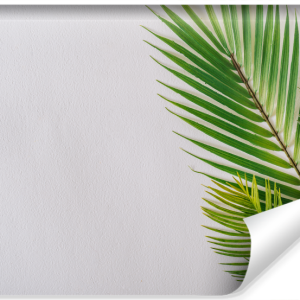 Fototapeta Ścienna Zielone LIŚCIE Palmowe 152.5x104cm 256578 Fototapeta Ścienna Zielone LIŚCIE Palmowe 152.5x104cm 256578