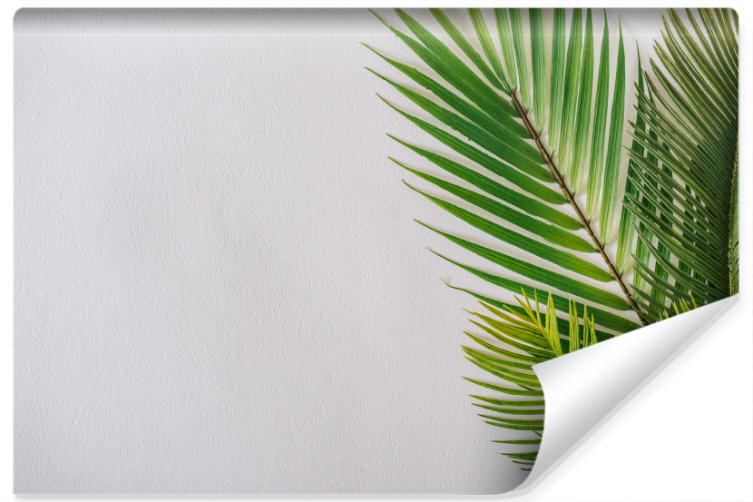 Fototapeta Ścienna Zielone LIŚCIE Palmowe 152.5x104cm 256578