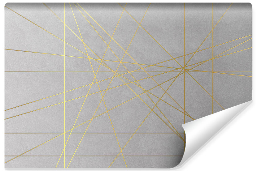 Fototapeta Ścienna Złote Linie Na Betonie 400x280cm 163275