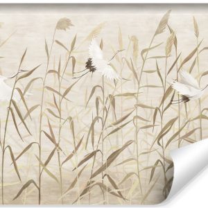 Fototapeta Ścienna ŻURAWIE Rośliny Natura 368x280cm 240406 Fototapeta Ścienna ŻURAWIE Rośliny Natura 368x280cm 240406