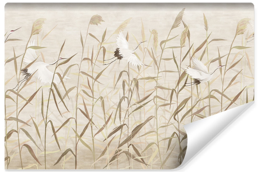 Fototapeta Ścienna ŻURAWIE Rośliny Natura 368x280cm 240406