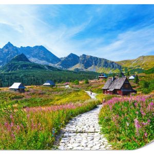 Fototapeta Ścieżka na Halę Gąsienicową 500x350cm 982182 Fototapeta Ścieżka na Halę Gąsienicową 500x350cm 982182