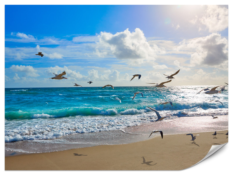 Fototapeta Słoneczna plaża 100x70cm 976027