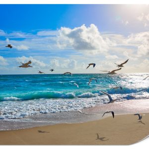 Fototapeta Słoneczna plaża 350x256cm 976391 Fototapeta Słoneczna plaża 350x256cm 976391