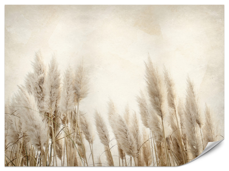Fototapeta Słoneczne krzewy 100x70cm 982430