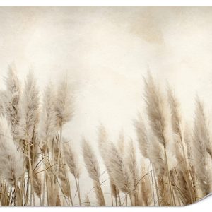 Fototapeta Słoneczne krzewy 250x175cm 982312 Fototapeta Słoneczne krzewy 250x175cm 982312