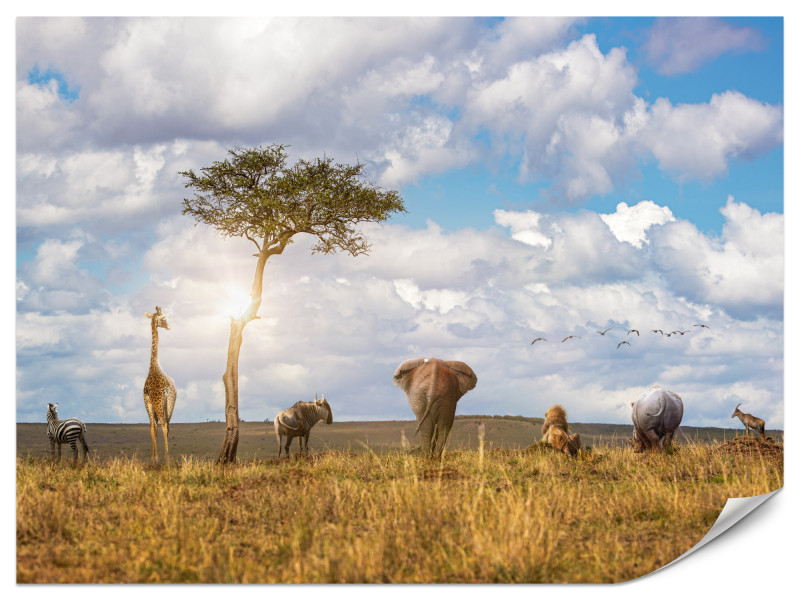 Fototapeta Spacerujące zwierzęta safari 400x280cm 988028