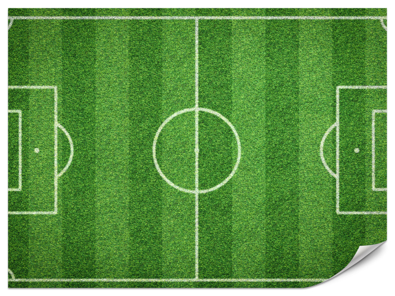 Fototapeta Stadion z lotu ptaka 500x350cm 987353