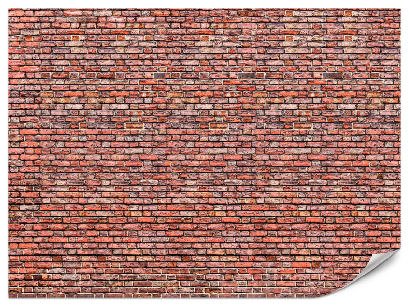 Fototapeta Stary ceglany mur 500x350cm 989113