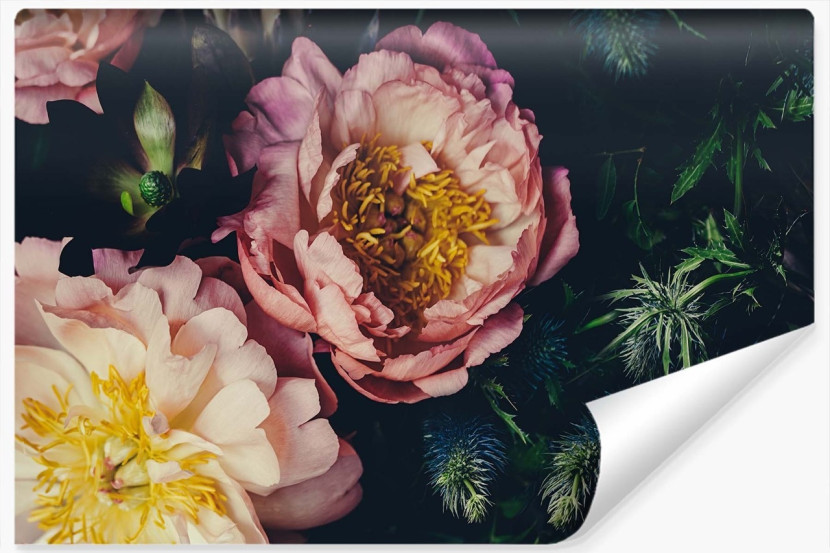Fototapeta Styl VINTAGE Piwonie Kwiaty 3D 270x180cm 257806