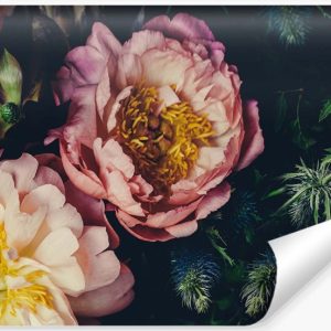 Fototapeta Styl VINTAGE Piwonie Kwiaty 3D 400x280cm 257899 Fototapeta Styl VINTAGE Piwonie Kwiaty 3D 400x280cm 257899