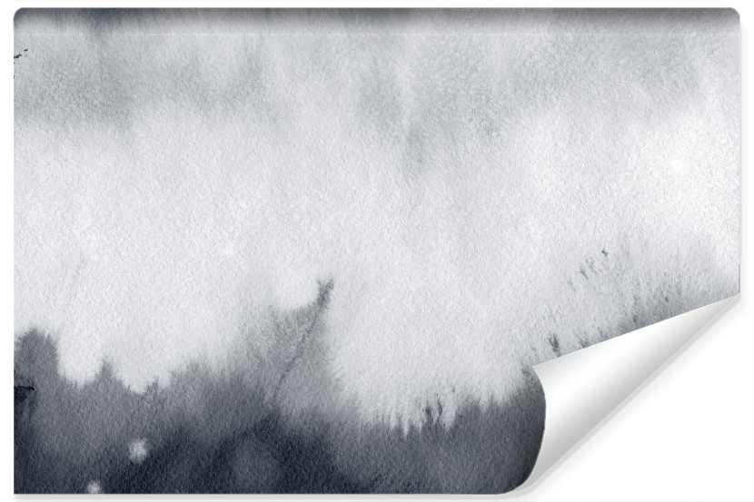 Fototapeta Szara ABSTRAKCJA Ombre 405x270cm 294716