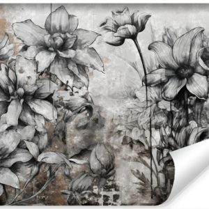 Fototapeta Szare kwiaty na betonowym tle 368x280cm 245952 Fototapeta Szare kwiaty na betonowym tle 368x280cm 245952