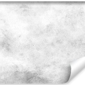 Fototapeta Szare OMBRE Imitacja Betonu Dekor 312x219cm 268212 Fototapeta Szare OMBRE Imitacja Betonu Dekor 312x219cm 268212