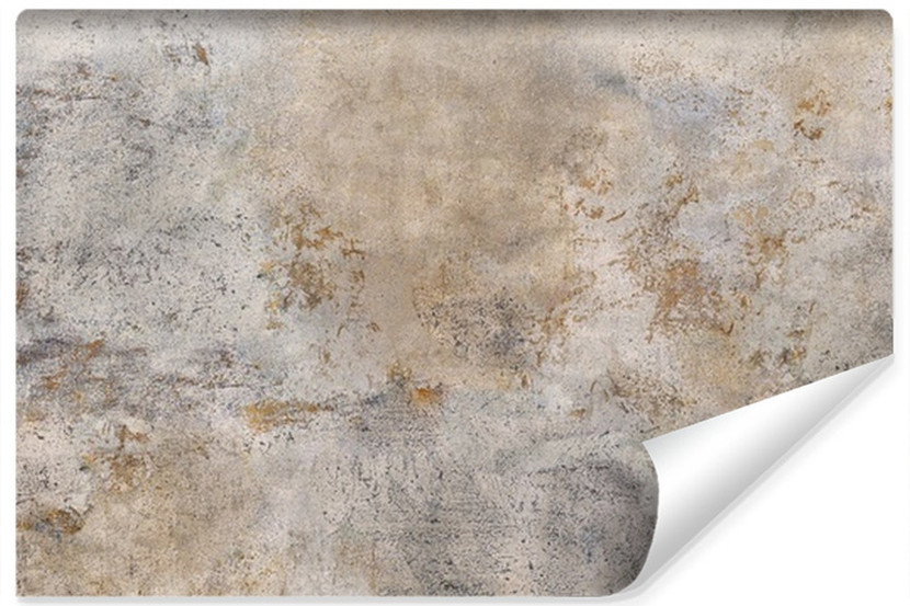 Fototapeta Szaro Rdzawy Beton 300x210cm 81292