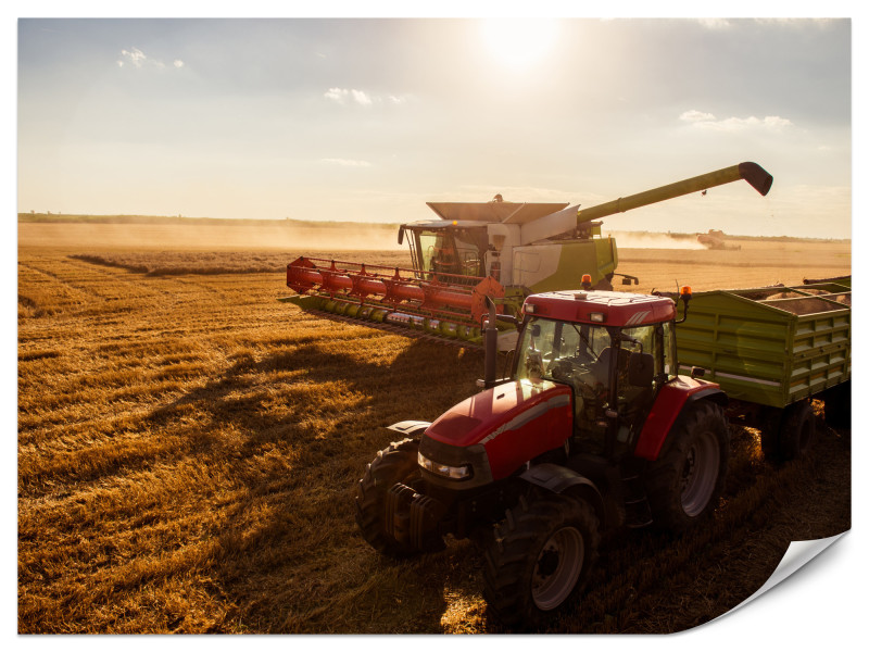 Fototapeta Traktor na polu 400x280cm 986508