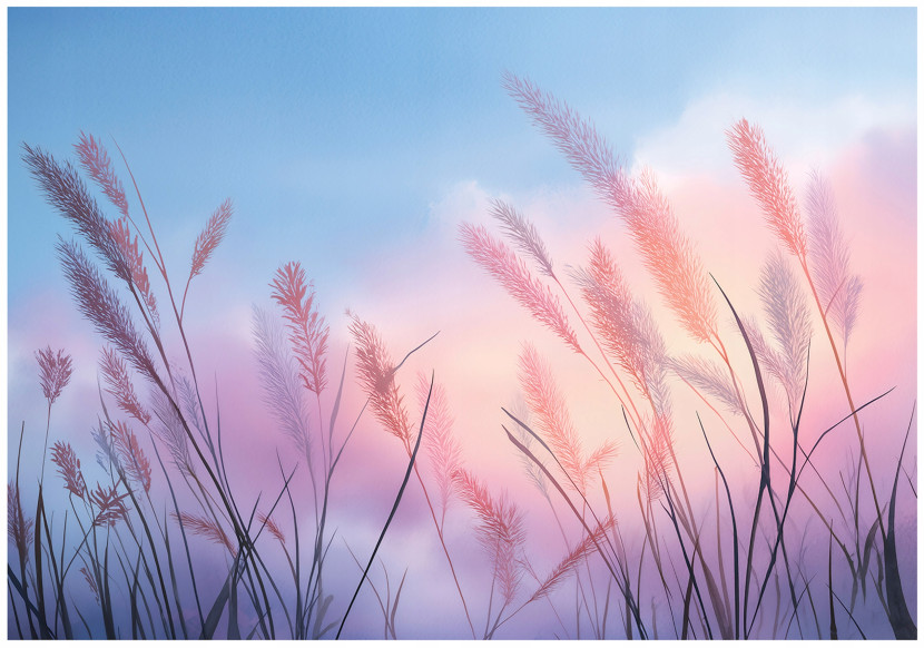 Fototapeta Trawa Pampas Niebieski Na Flizelinie Do Sypialni Salonu 300x210 796893