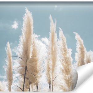 Fototapeta TRAWA Pampasowa Niebo Chmury 3D 270x180cm 261811 Fototapeta TRAWA Pampasowa Niebo Chmury 3D 270x180cm 261811