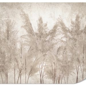 Fototapeta Trawy pampasowe 200x140cm 982325 Fototapeta Trawy pampasowe 200x140cm 982325