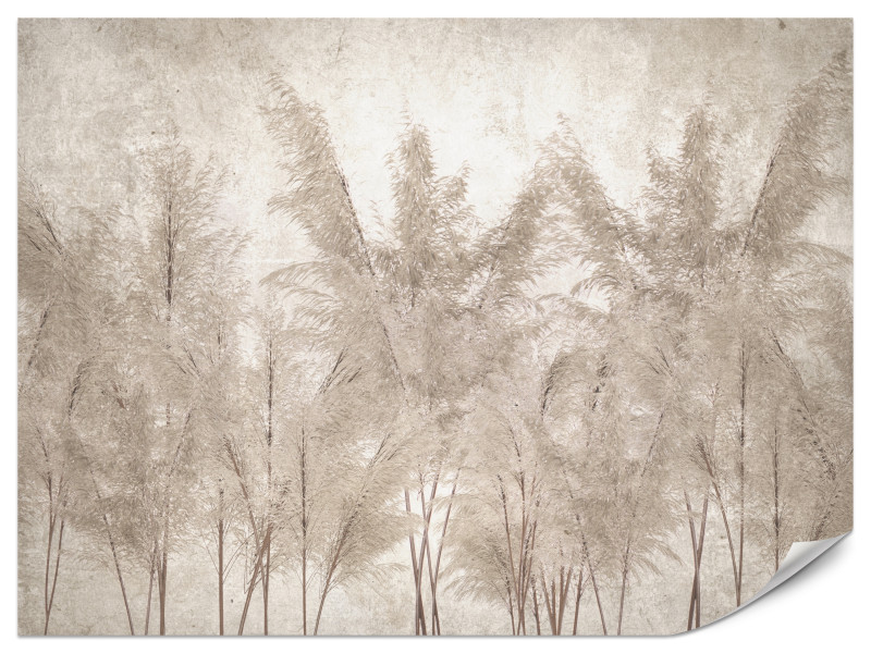 Fototapeta Trawy pampasowe 350x256cm 982486