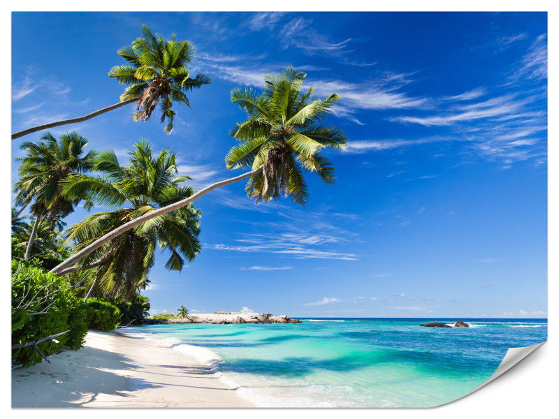 Fototapeta Tropikalna plaża 300x210cm 976177