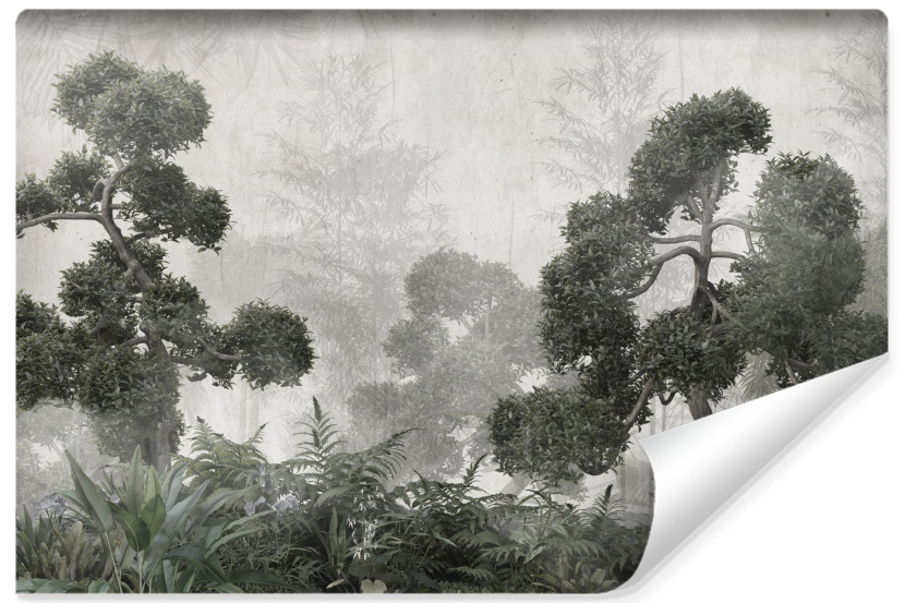 Fototapeta Tropikalne Drzewa 416x290cm 245861