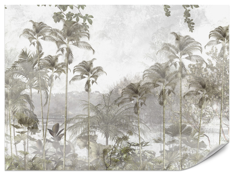 Fototapeta Tropikalne drzewa na tle rzeki 350x256cm 984223