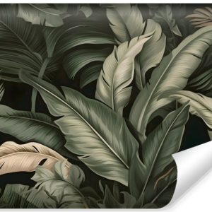 Fototapeta Tropikalne LIŚCIE Bananowca 3D 368x280cm 227703 Fototapeta Tropikalne LIŚCIE Bananowca 3D 368x280cm 227703