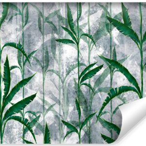 Fototapeta Tropikalne Liście Na Betonie 416x254cm 123284