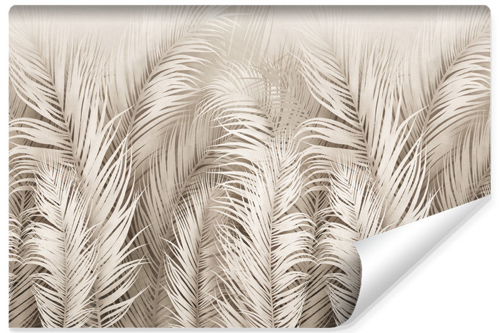 Fototapeta Tropikalne Liście Palmowe 405x270cm 308171
