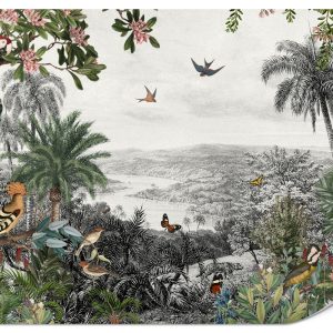 Fototapeta Tropikalne ptaki 450x315cm 984748 Fototapeta Tropikalne ptaki 450x315cm 984748