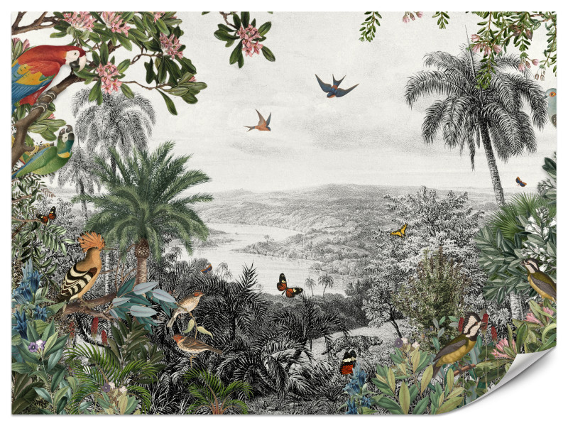 Fototapeta Tropikalne ptaki 500x350cm 989484