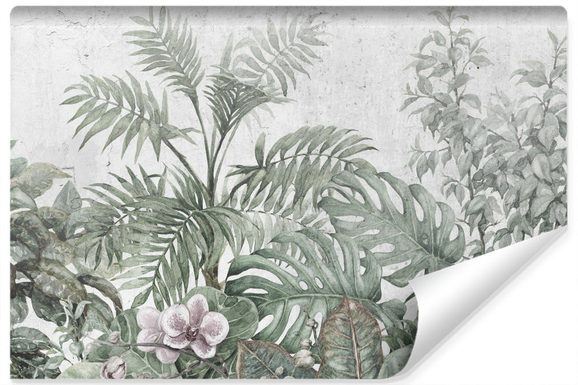 Fototapeta Tropikalne ROŚLINY Beton Mur 3D 312x219cm 256568