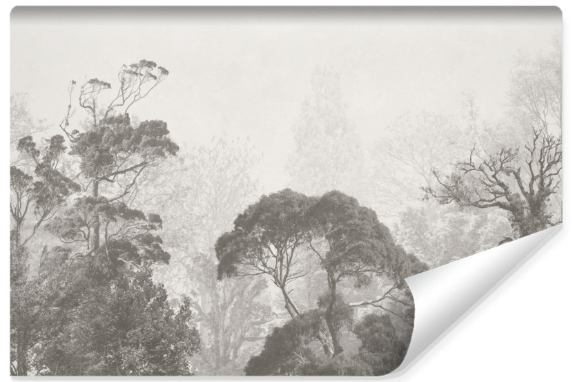 Fototapeta Tropikalny Las Na Betonie 254x184cm 323561