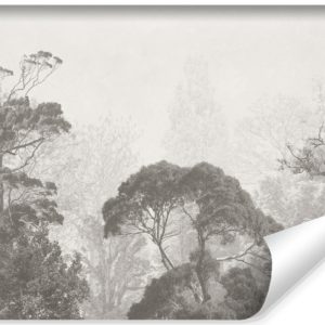 Fototapeta Tropikalny Las Na Betonie 400x280cm 323394