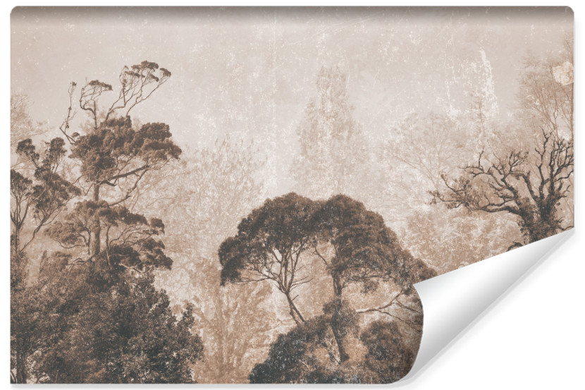 Fototapeta Tropikalny Las We Mgle Vintage 208x146cm 321648