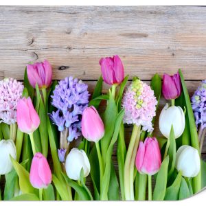 Fototapeta Tulipany i hiacynty 300x210cm 983472